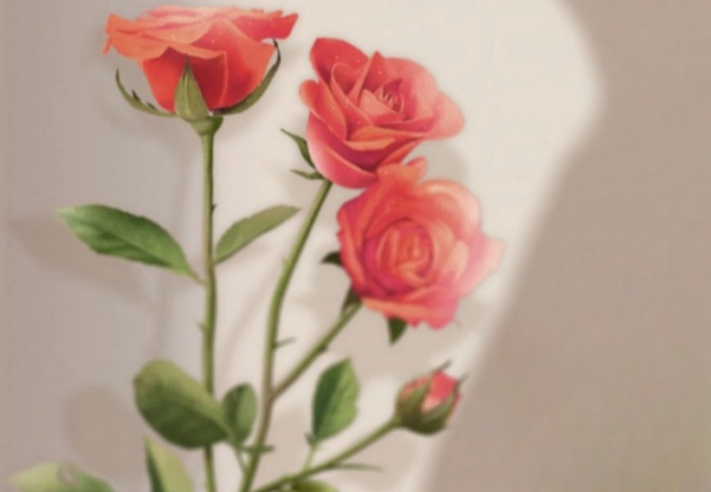 祝天下女神們節(jié)日快樂(lè)?。?！